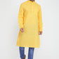 Mens Mandarin Collar Casual Kurta